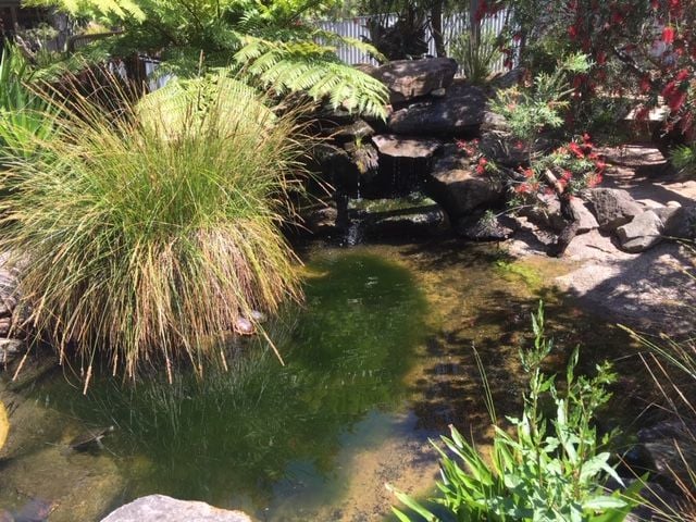 Symbio Wildlife Park - Thursday 15th October, 2020 Image -5f8d03bba761d